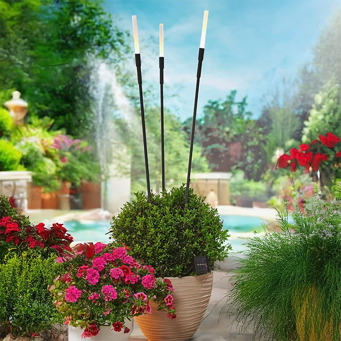 lampe-solaire-roseaux-lot-3-lumineux-jardin-deco-objetsolaire lampe-solaire-roseaux-lot-3-lumineux-jardin-deco-objetsolaire