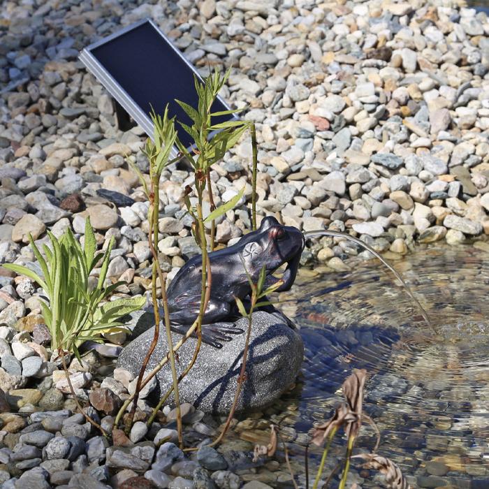 Fontaine solaire Grenouille paresseuse avec kit pompe solaire 500