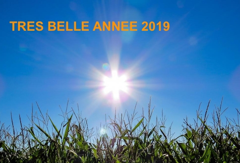 Meilleurs-voeux-bonne-anne-2019-objetsolaire.com