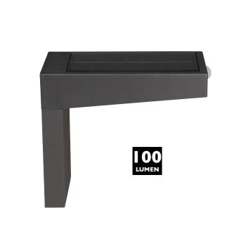 Applique Solaire Détecteur Alberta 100 Lumens
