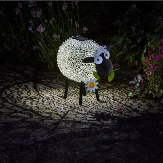 Mouton Solaire Lumineux
