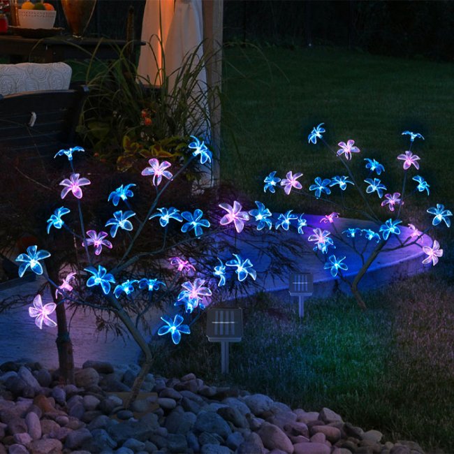 Lampe Solaire Arbuste Fleurs Multicolores