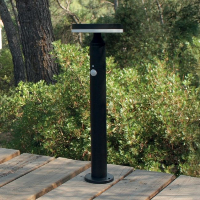 Borne Solaire Piter Détecteur 3 Modes 600 Lumens 4000°K 500mm