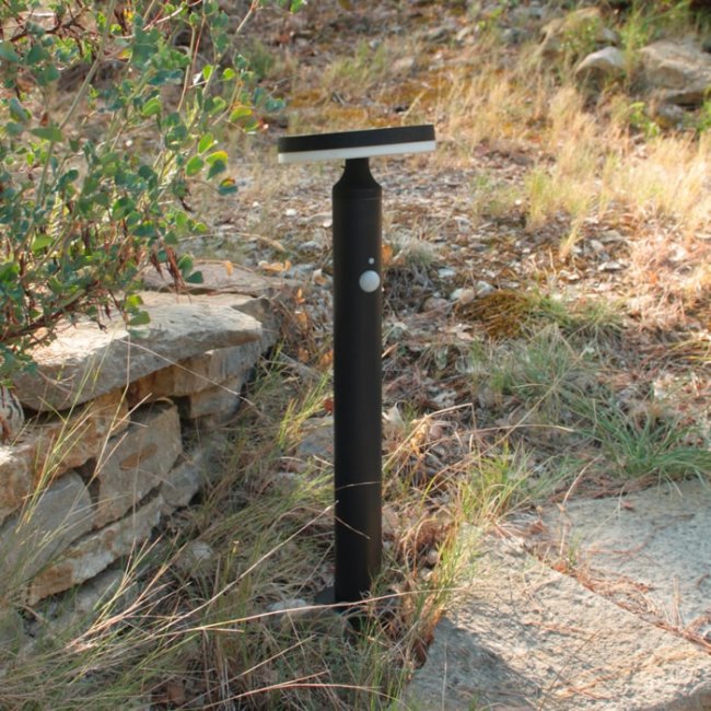 Borne Solaire Piter Détecteur 3 Modes 600 Lumens 4000°K 500mm