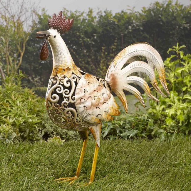 Coq Solaire Lumineux