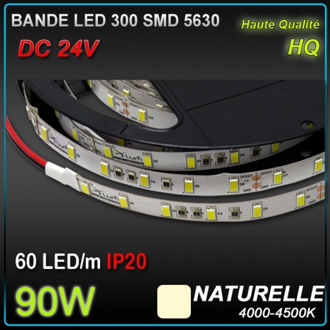 Kit bande LED blanche 60LED/m IP20 5m avec boitier piles