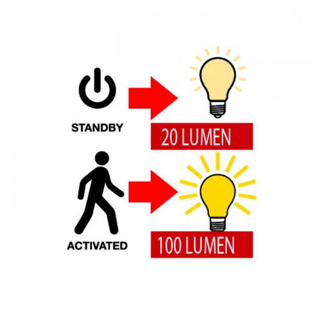 Applique Solaire Détecteur Alberta 100 Lumens