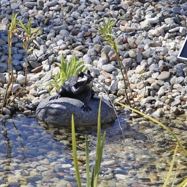 Pompe Fontaine Solaire Jet d'Eau Grenouille sur Pierre NP10