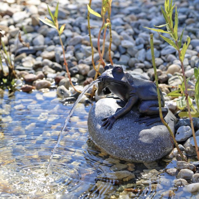 Pompe Fontaine Solaire Jet d'Eau Grenouille sur Pierre NP10