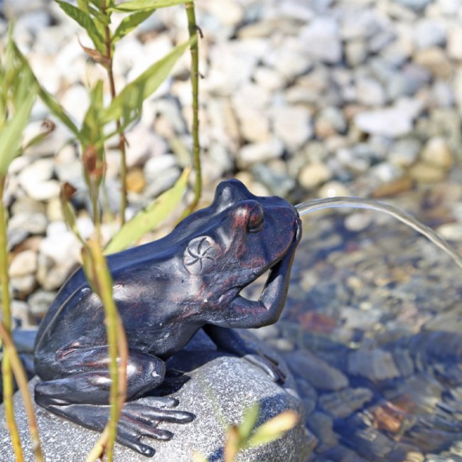 Pompe Fontaine Solaire Jet d'Eau Grenouille sur Pierre NP10