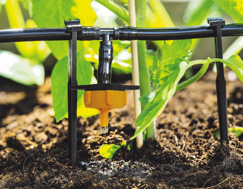 Installation d'un arrosage automatique pour le potager