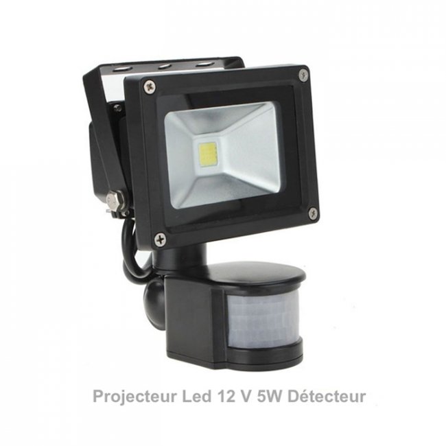 Projecteur extérieur Led 20W 12V DC 6000°K détecteur-IP 65