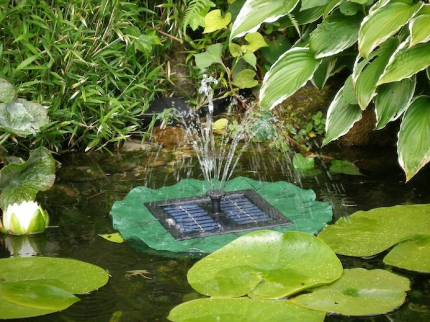 Fontaine Pompe Solaire Flottante Lily Batterie et Led
