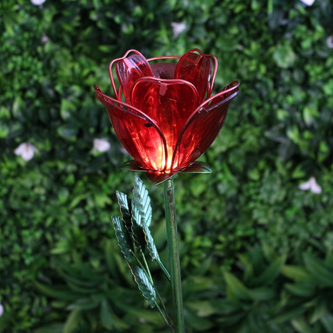 Rose Solaire Fleur sur Tige 