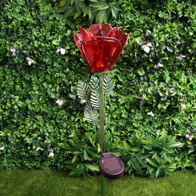 Rose Solaire Fleur sur Tige 