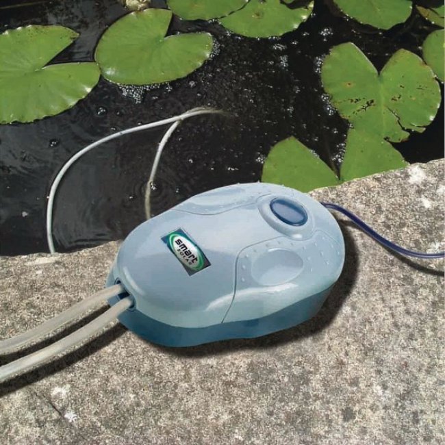 Pompe à air d'eau Oxygène, aérateur d'oxygène étanche alimenté à l'énergie  solaire avec panneau solaire pliable à 100 degrés aérateur de bassin solaire  Oxygénateur à bulles