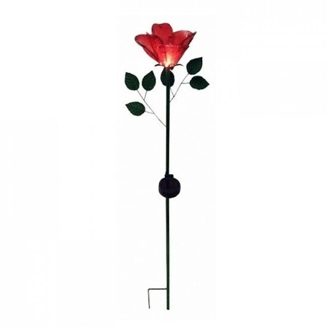 Rose Solaire Fleur sur Tige 