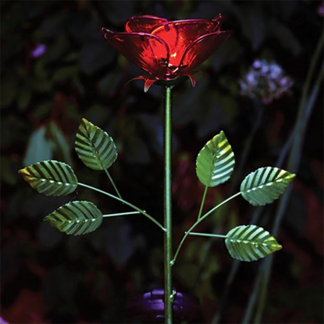 Rose Solaire Fleur sur Tige 