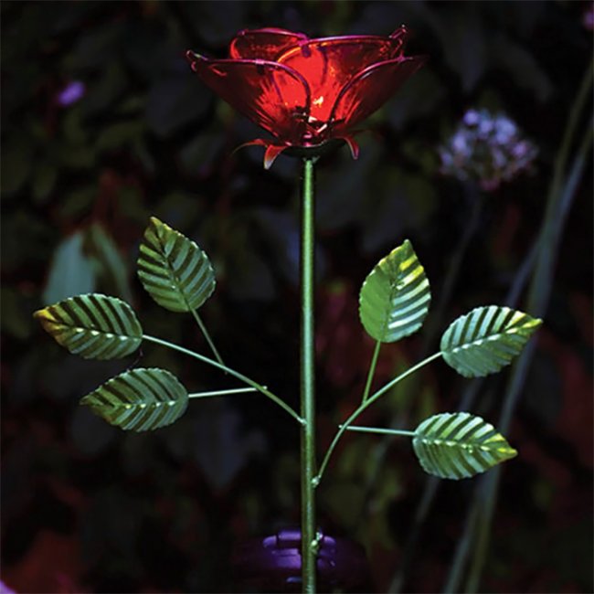 Rose Solaire Fleur sur Tige 