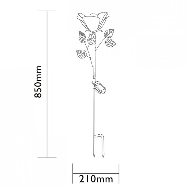 Rose Solaire Fleur sur Tige 
