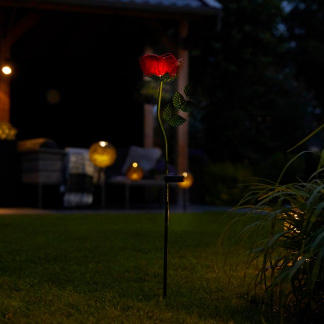 Rose Solaire Fleur sur Tige 