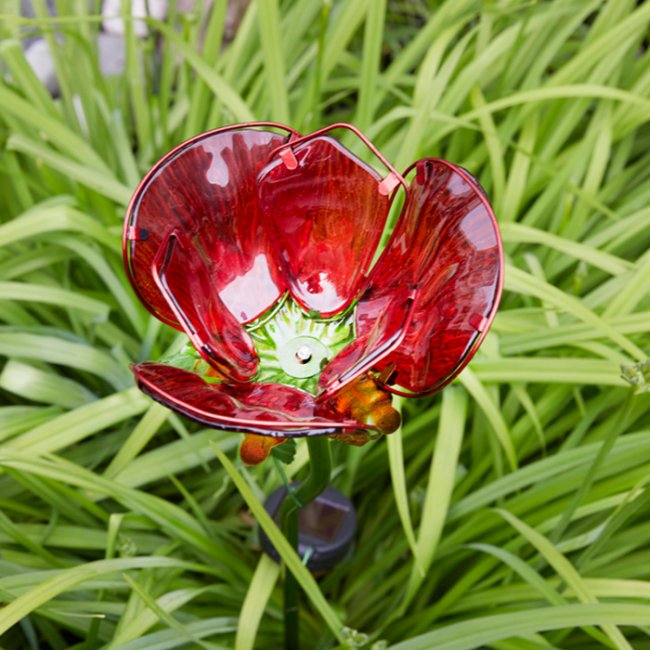 Rose Solaire Fleur sur Tige 