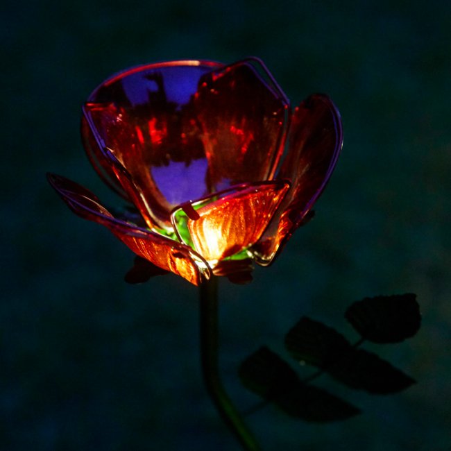 Rose Solaire Fleur sur Tige 