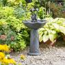 Photo Fontaine Solaire Bain d'Oiseaux Grenouilles