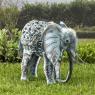 Photo Eléphant Solaire