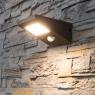 Photo Applique Solaire Puissante Détecteur 170 Lumens Aluminium Fione 3000°K